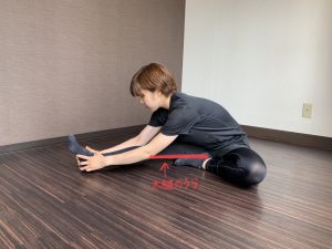 股関節の可動域を広げるメリット 関節の構造とストレッチのやり方を徹底解説 パーソナルトレーナー探しなら コーチマッチ